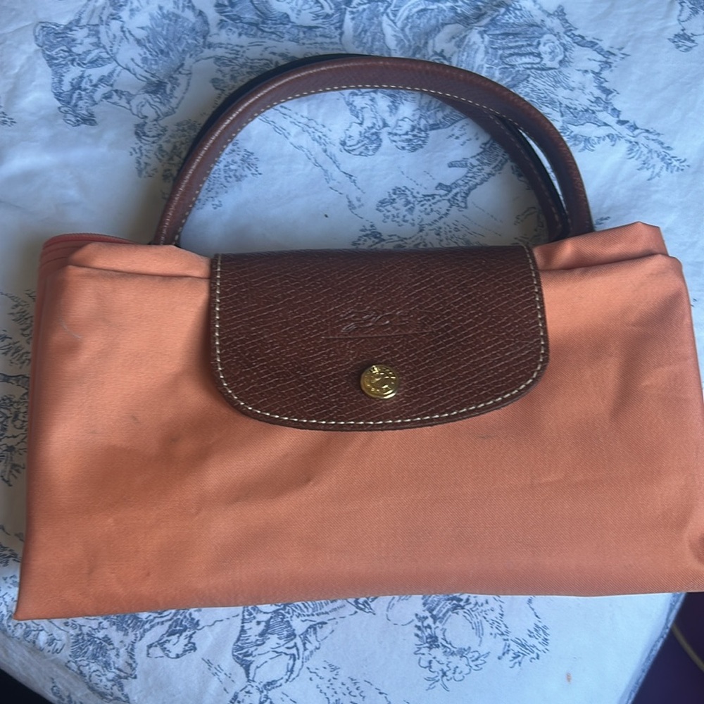 Longchamp Brown and Orange Tote Bag Lightweight Foldable Design